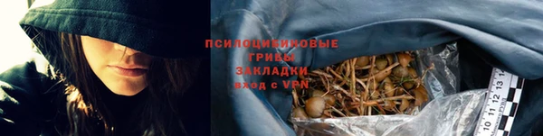 бошки Богородск