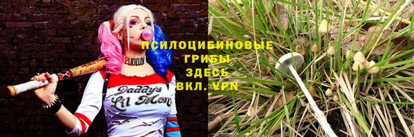 МДПВ Богородицк