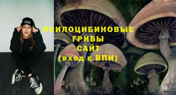 МДПВ Богородицк