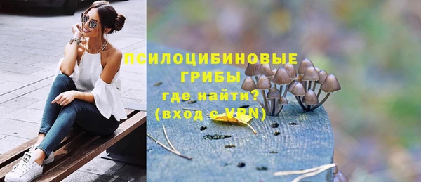 МДПВ Богородицк